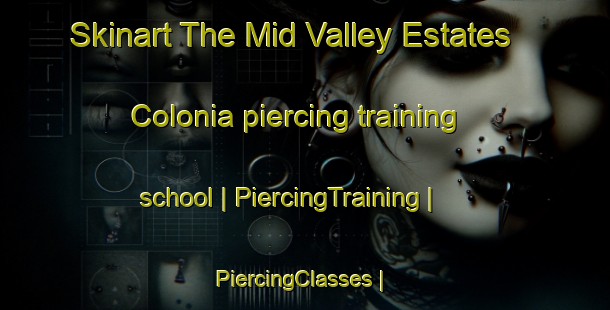 Skinart The Mid Valley Estates Colonia piercing training school | PiercingTraining | PiercingClasses | SkinartTraining-United States
